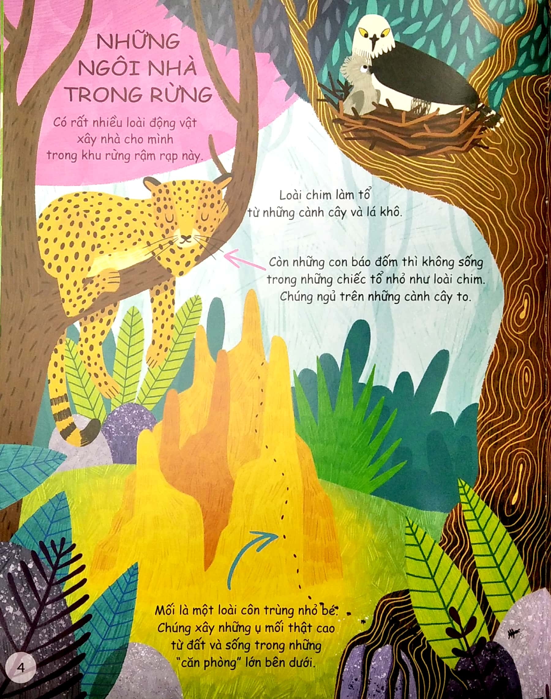 cuốn sách đầu đời của bé - khám phá động vật hoang dã