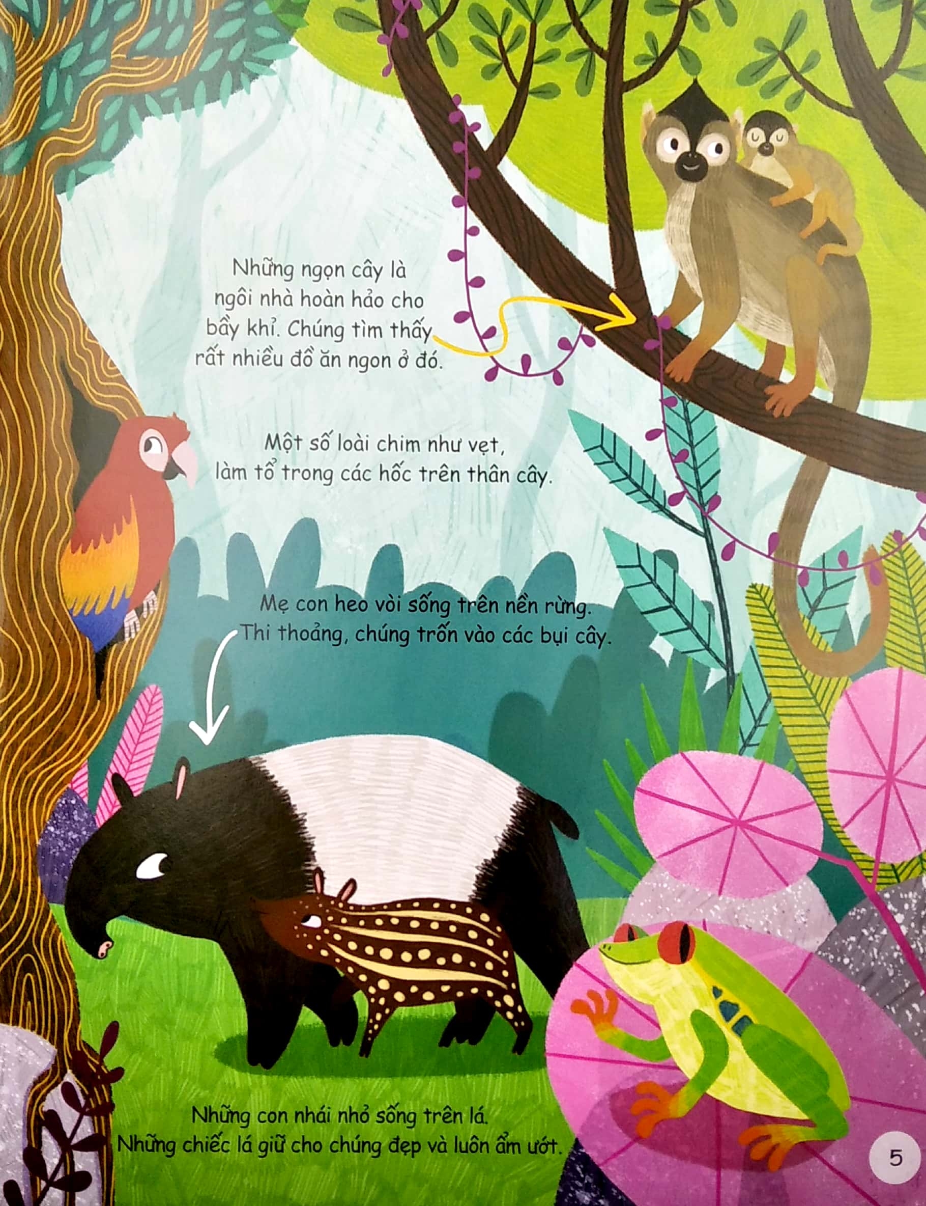 cuốn sách đầu đời của bé - khám phá động vật hoang dã