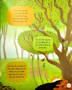 cuốn sách đầu đời của bé - khám phá sinh vật rừng