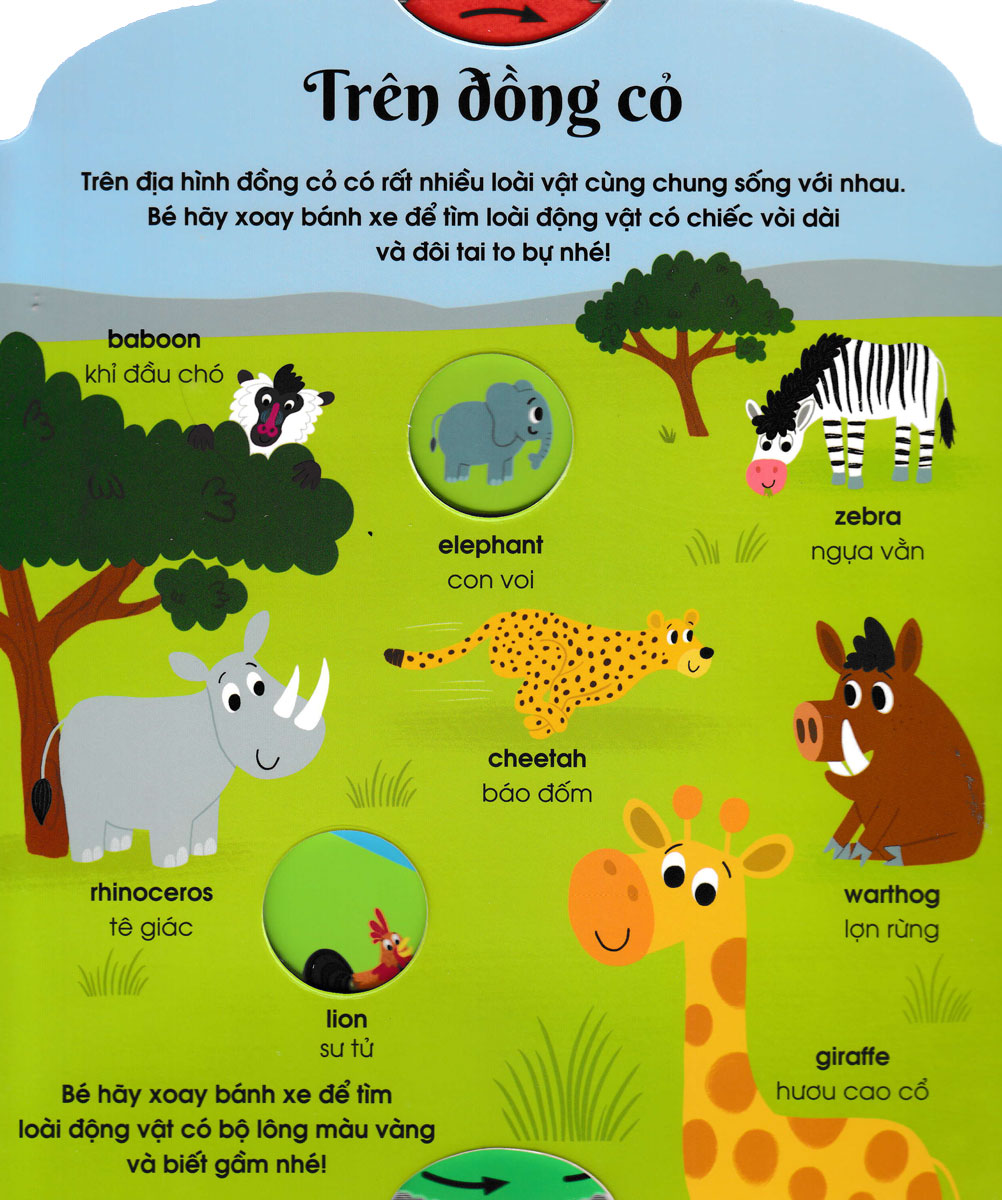 Cuon Sach Dau Tien Cua Be - Dong Vat (Danh Cho Be Tu 3-5 Tuoi)