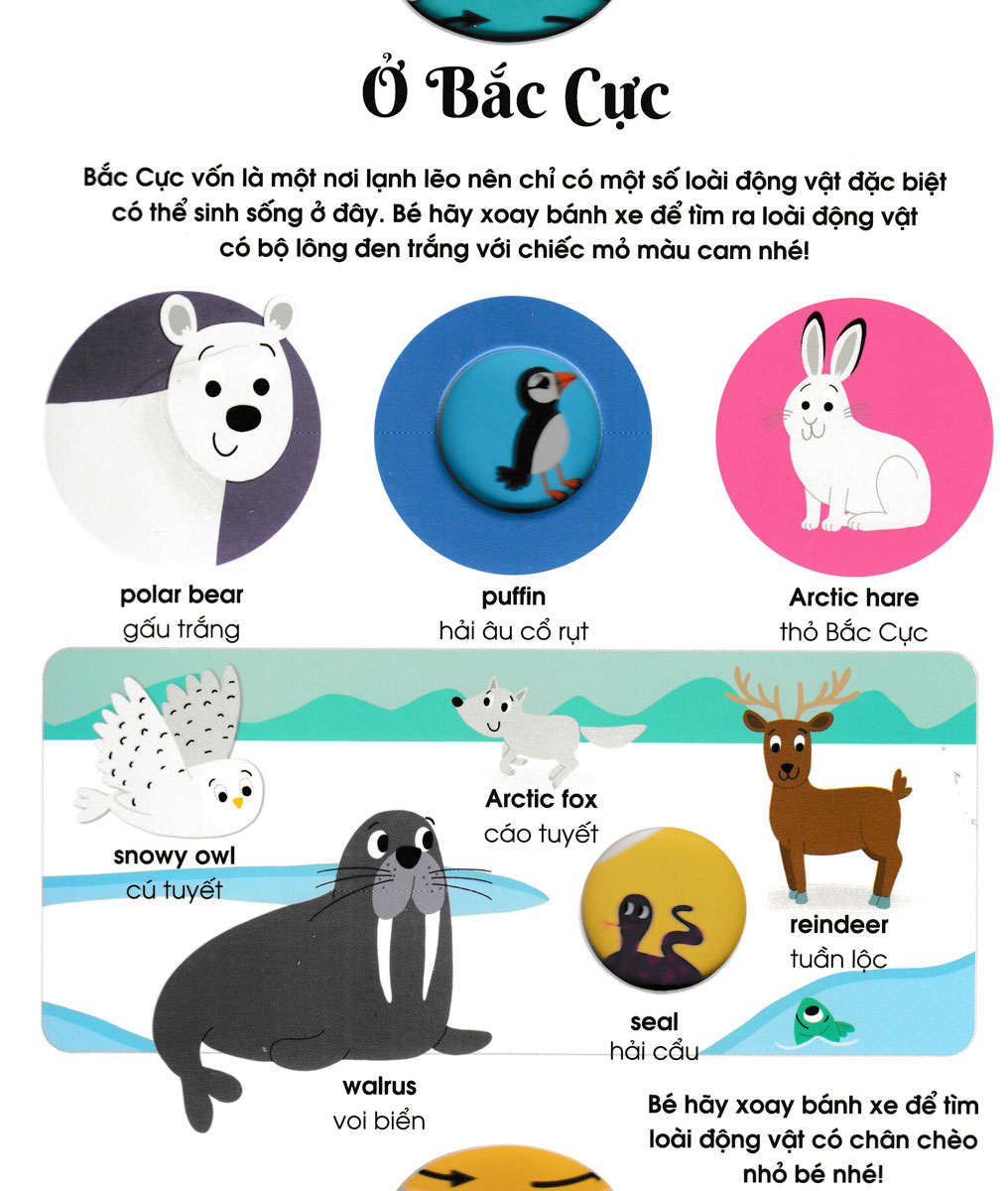 Cuon Sach Dau Tien Cua Be - Dong Vat (Danh Cho Be Tu 3-5 Tuoi)