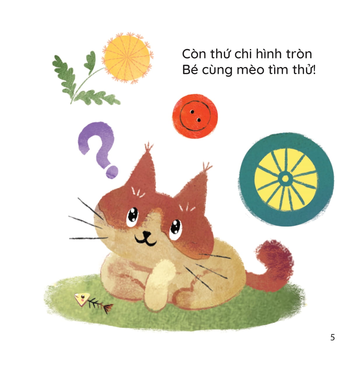 Cuốn Sách Đầu Tiên - Mèo Con Tìm Thấy Hình Gì? - Bìa Cứng