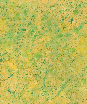 cuốn sách khoa học đầu tiên dành cho học sinh tiểu học - câu chuyện về lịch sử loài người