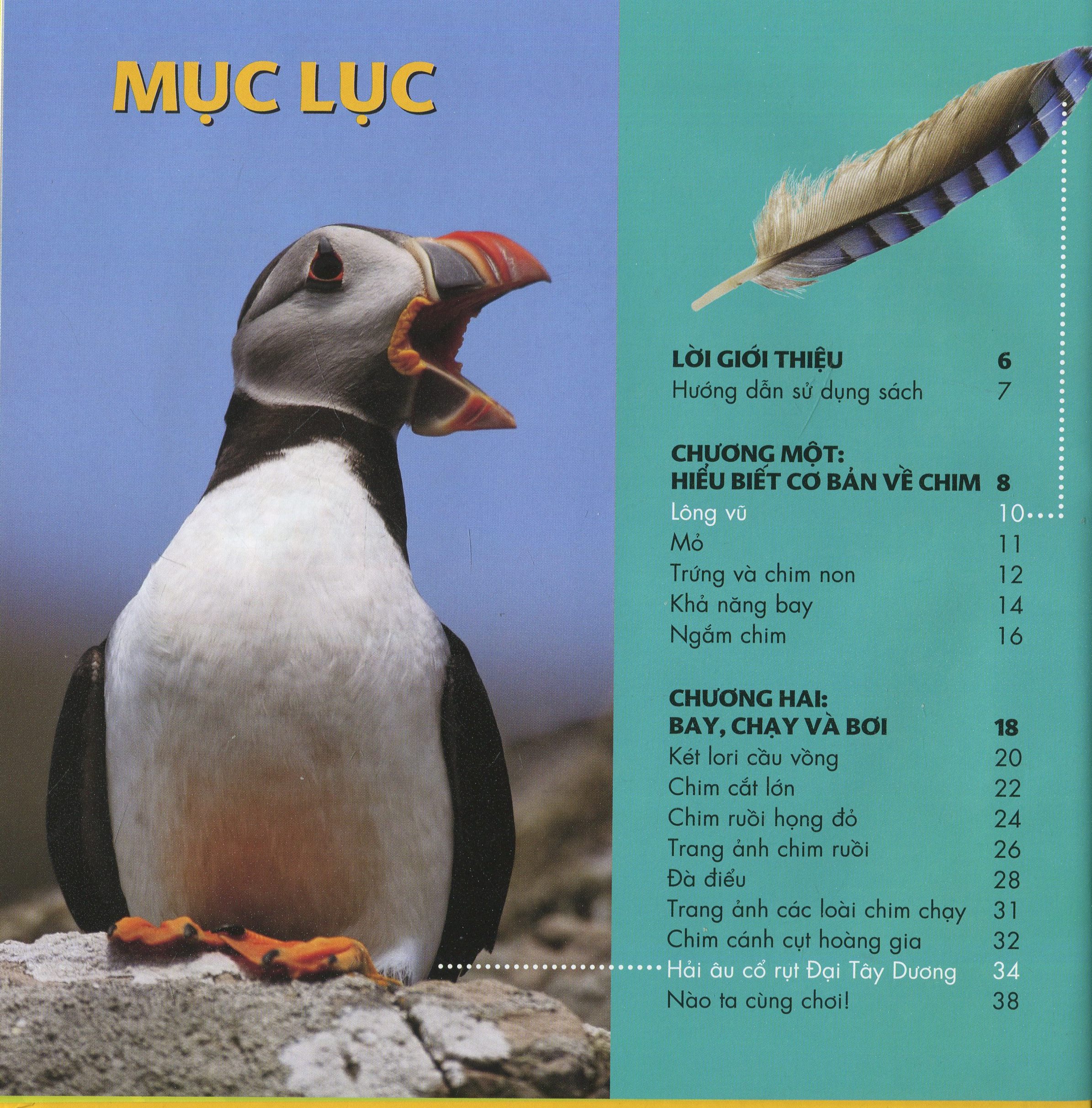 cuốn sách lớn đầu tiên của tớ - chim - bìa cứng (tái bản 2024)