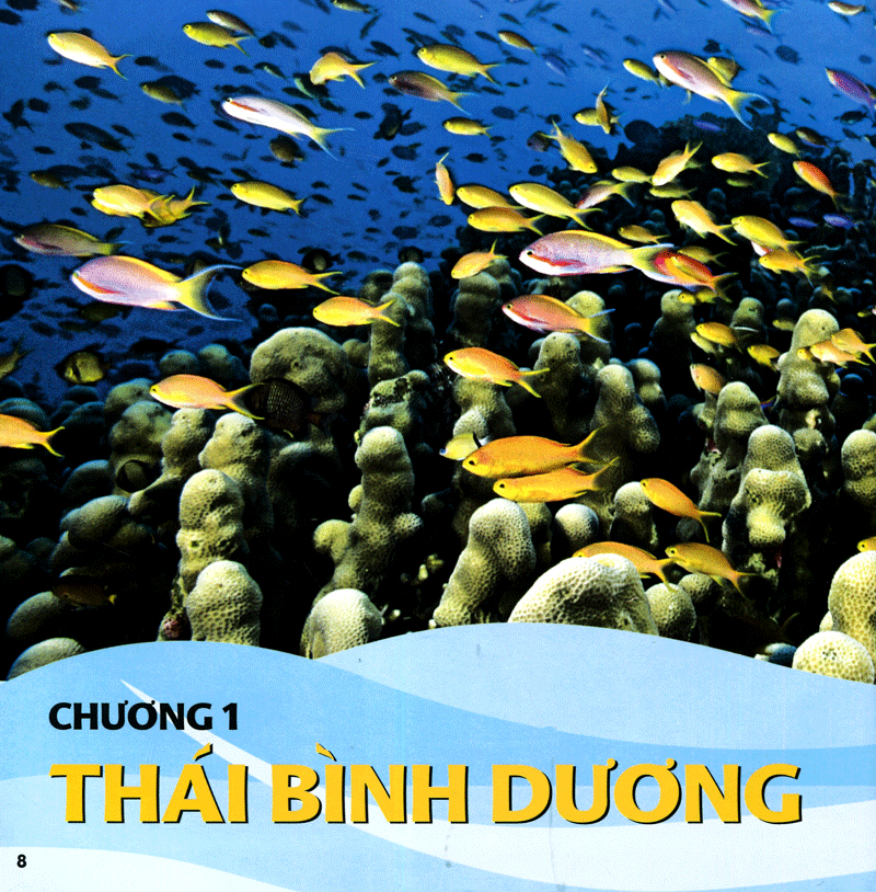 cuốn sách lớn đầu tiên của tớ - đại dương - bìa cứng (tái bản 2024)