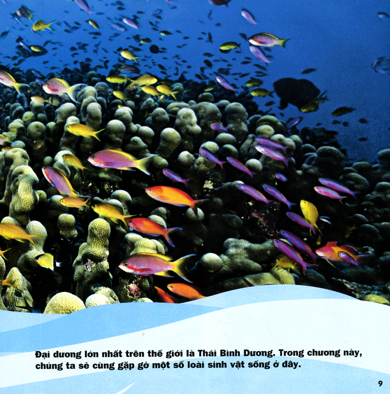 cuốn sách lớn đầu tiên của tớ - đại dương - bìa cứng (tái bản 2024)