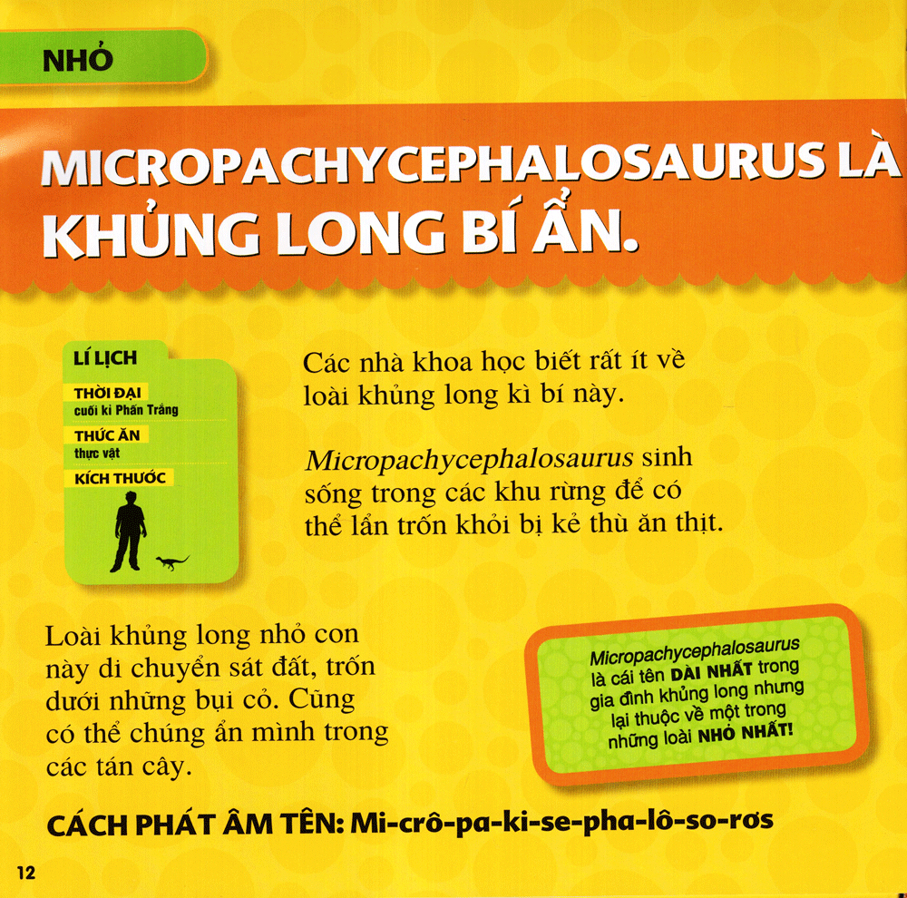 cuốn sách lớn đầu tiên của tớ - khủng long (tái bản 2023)