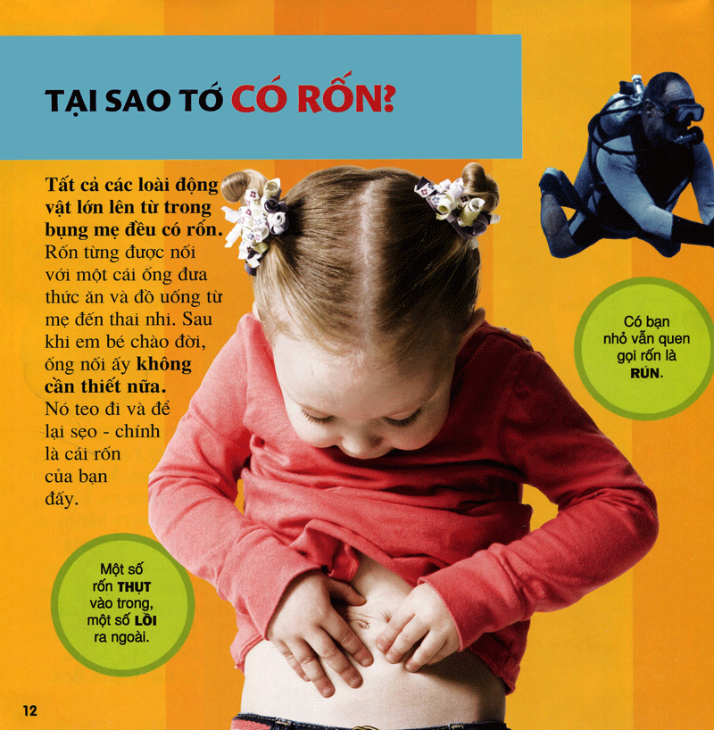 cuốn sách lớn đầu tiên của tớ - những câu hỏi tại sao - bìa cứng (tái bản 2024)