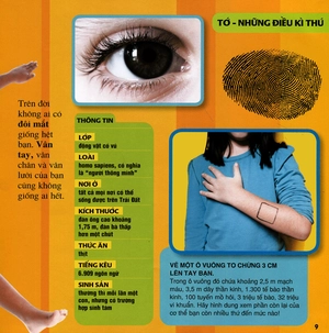 cuốn sách lớn đầu tiên của tớ - những câu hỏi tại sao (tái bản 2019)