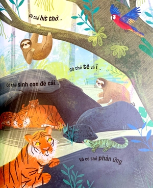 cuốn sách nhỏ, ý tưởng lớn - triết học là gì?