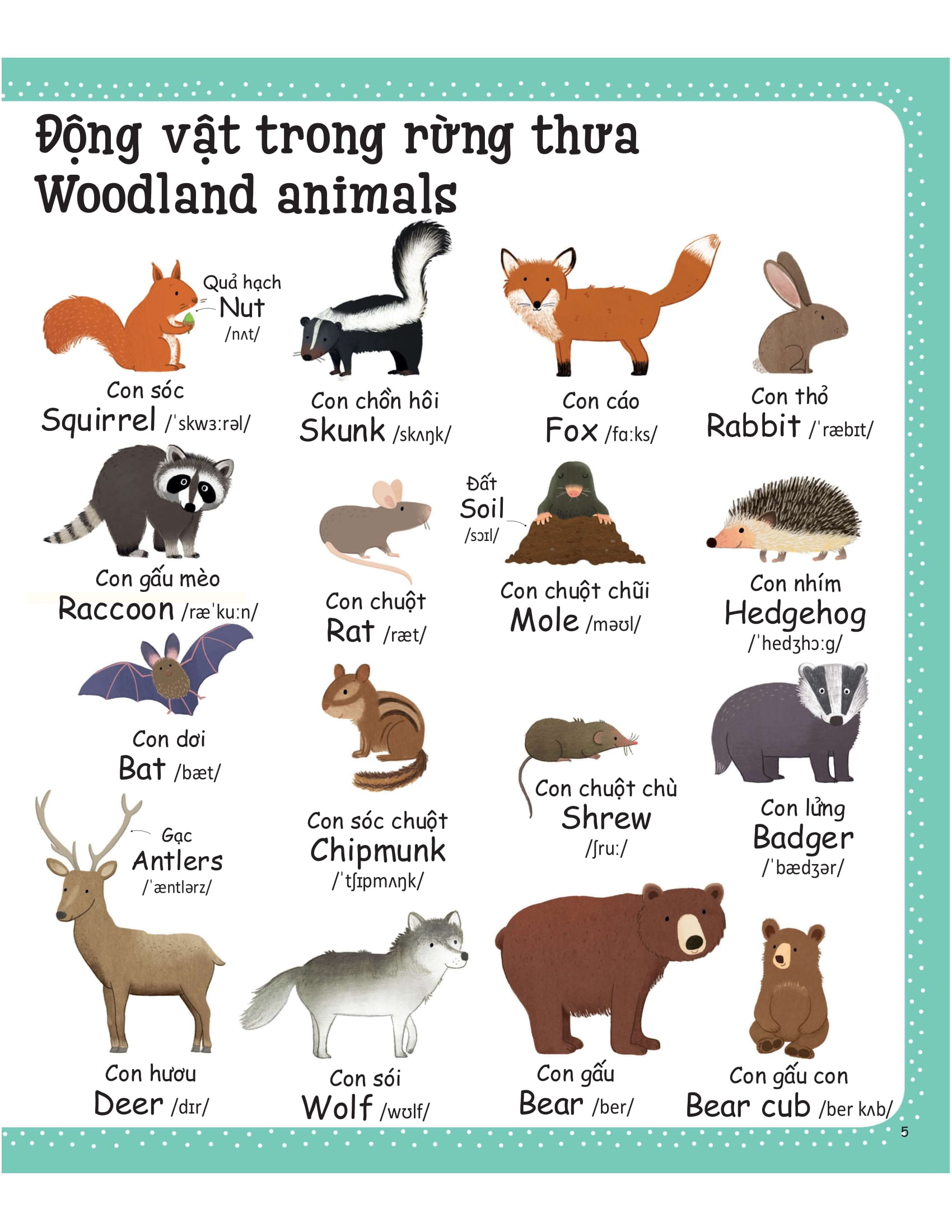 cuốn sách từ vựng đầu tiên của tôi - my first word book- thiên nhiên - nature