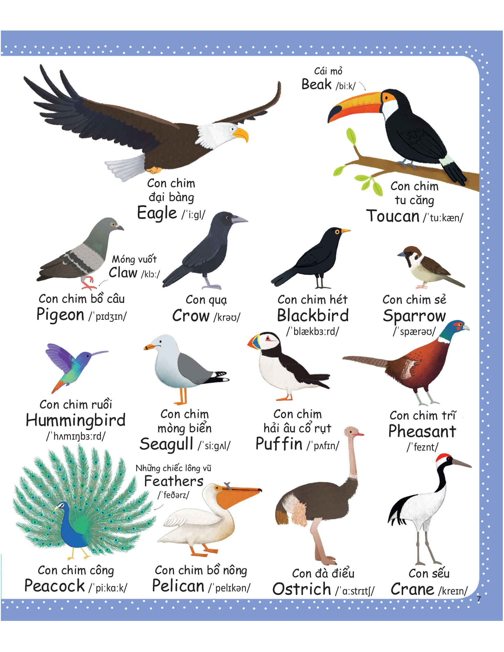 cuốn sách từ vựng đầu tiên của tôi - my first word book- thiên nhiên - nature