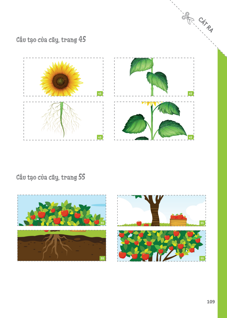 cuốn sổ lớn montessori về khám phá khoa học (bìa mềm)