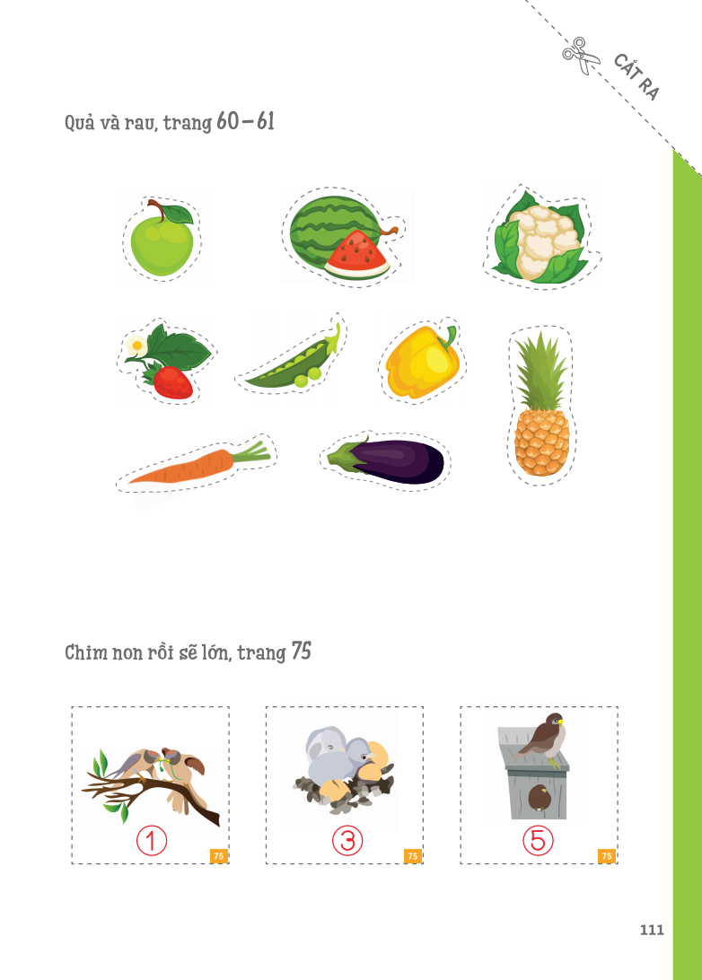 cuốn sổ lớn montessori về khám phá khoa học (bìa mềm)