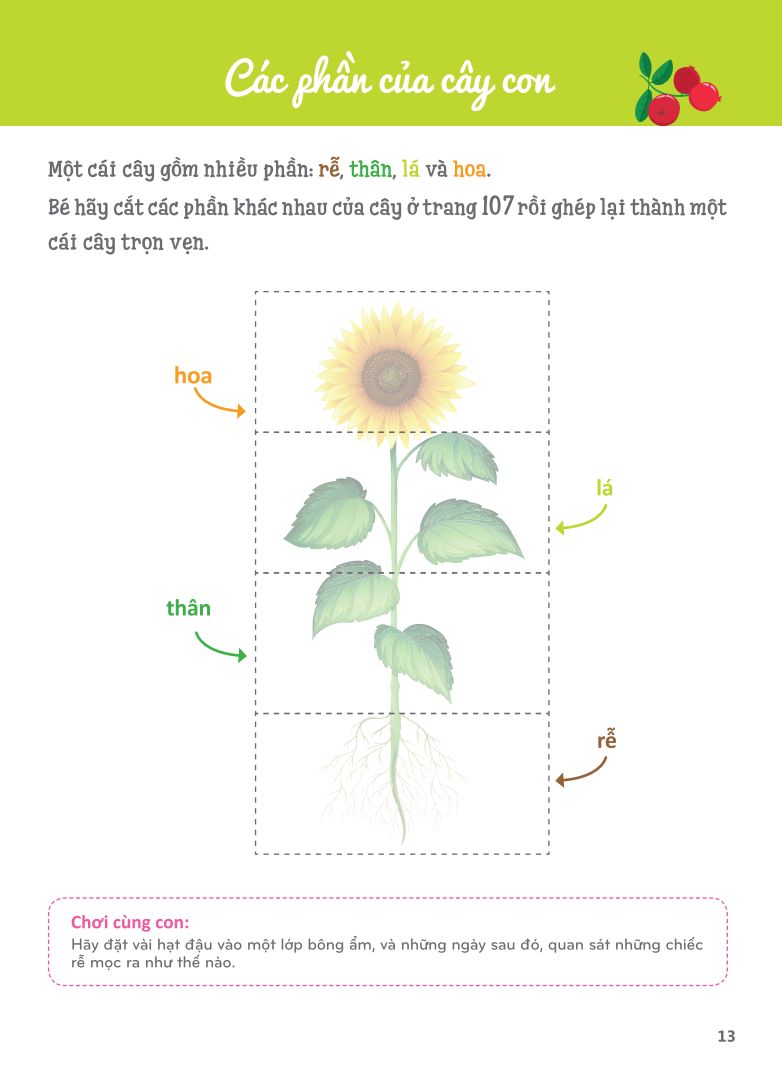 cuốn sổ lớn montessori - về khám phá thế giới (tái bản 2023)