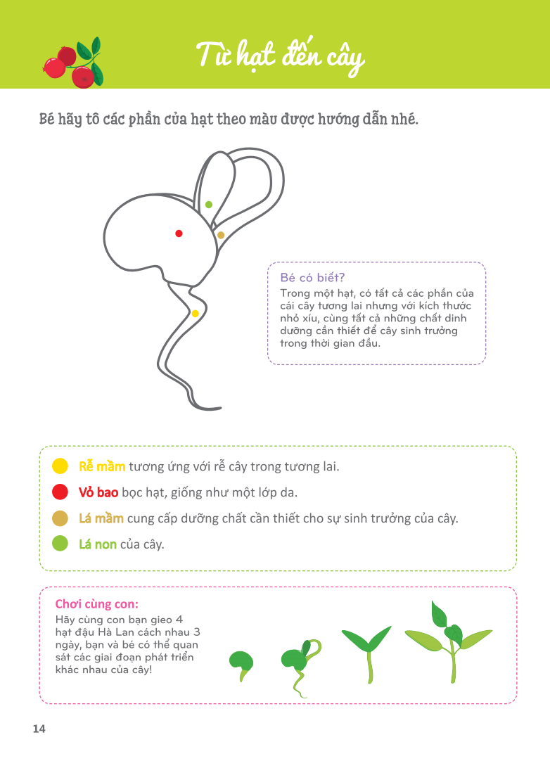 cuốn sổ lớn montessori - về khám phá thế giới (tái bản 2023)