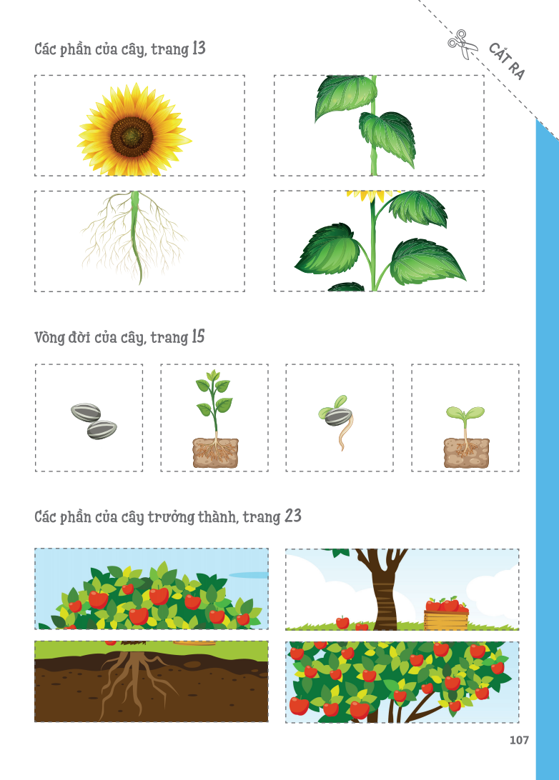 cuốn sổ lớn montessori - về khám phá thế giới (tái bản 2023)