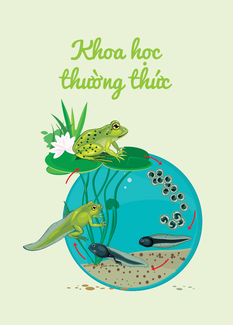 cuốn sổ lớn montessori - về khám phá thế giới (tái bản 2023)