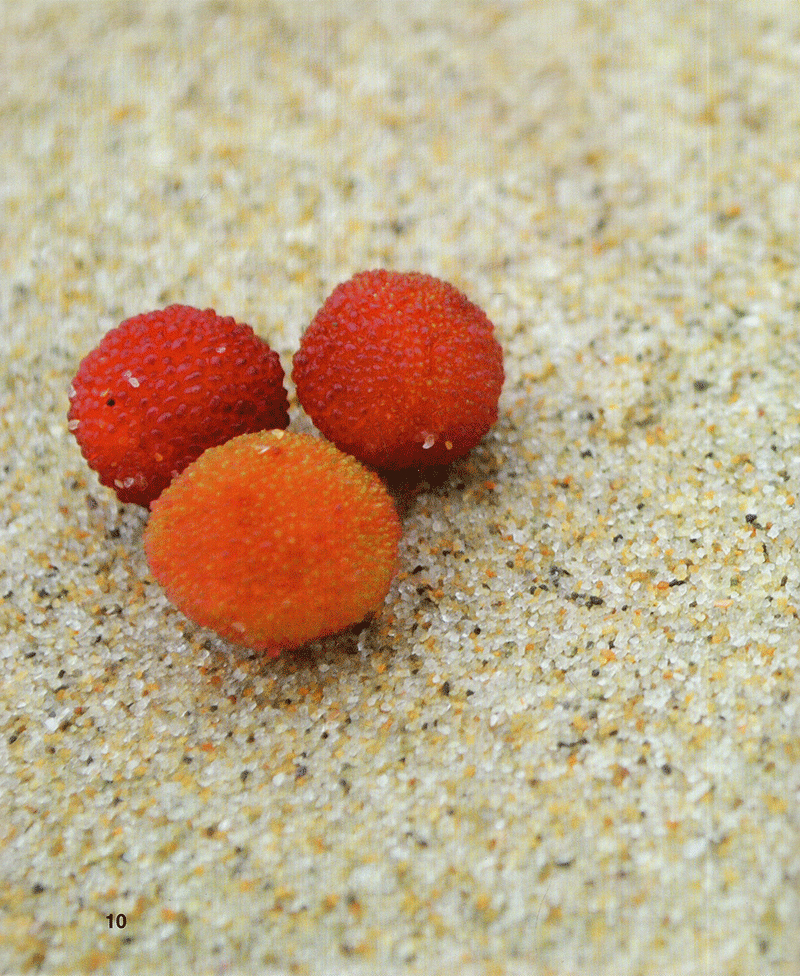 đá nhọn vực sâu