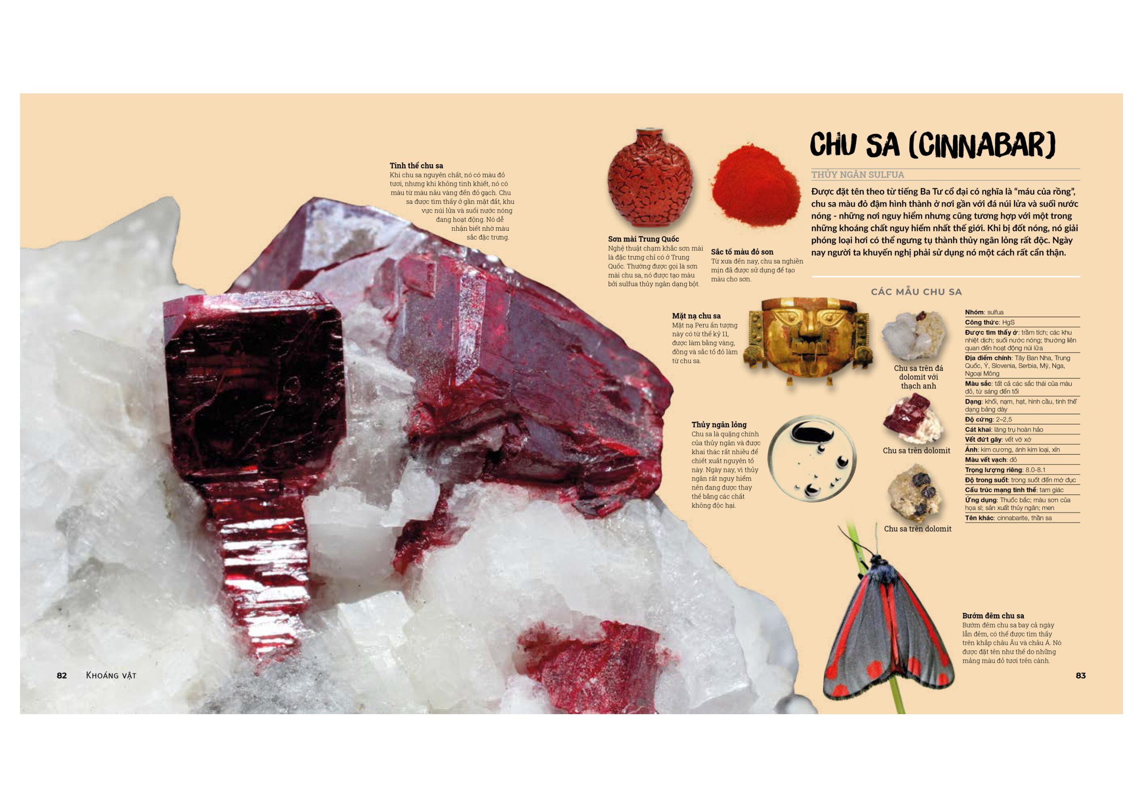 đá quý và khoáng sản - bìa cứng (tái bản)