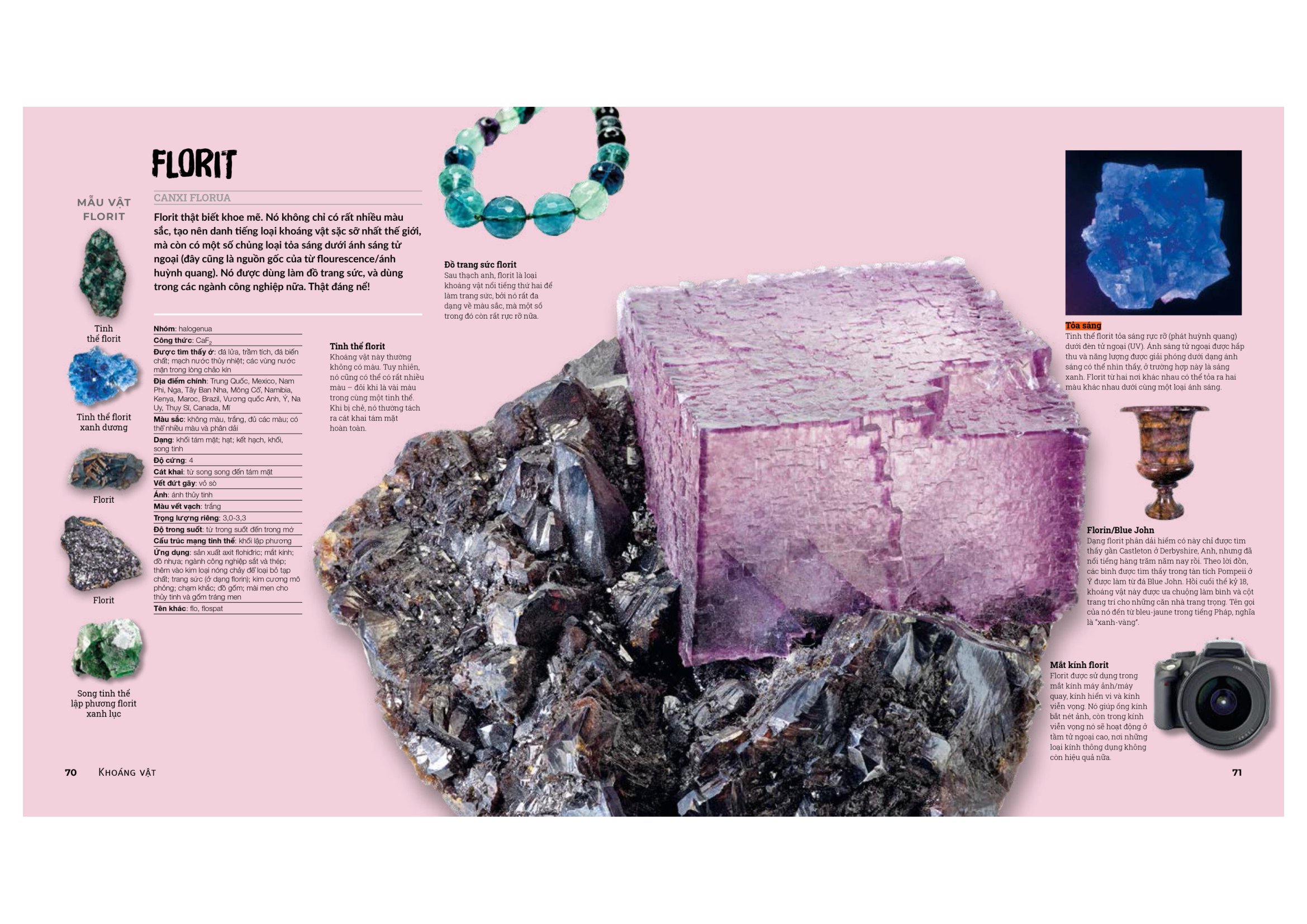 đá quý và khoáng sản - bìa cứng (tái bản)