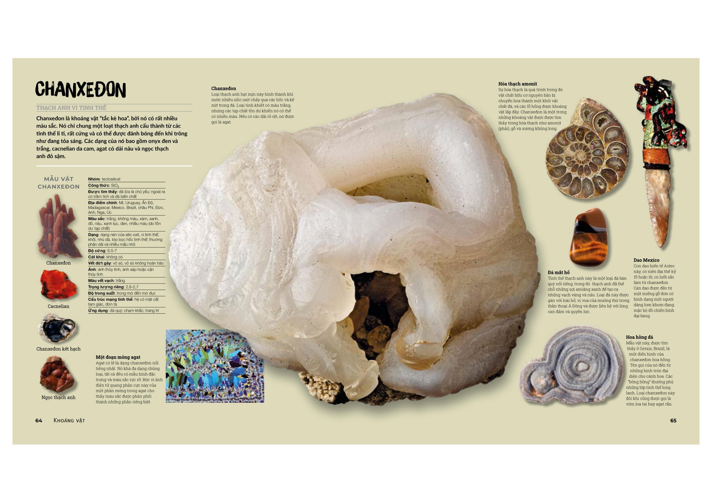 đá quý và khoáng sản - bìa cứng (tái bản)