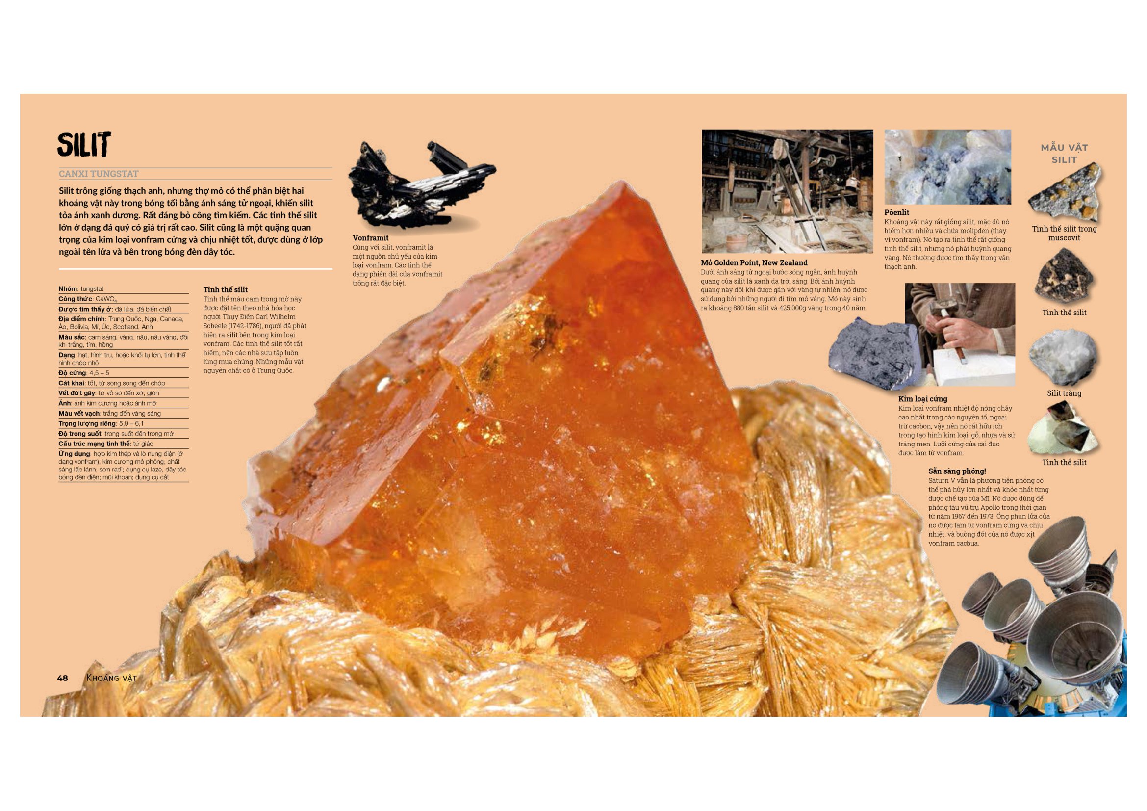 đá quý và khoáng sản - bìa cứng (tái bản)