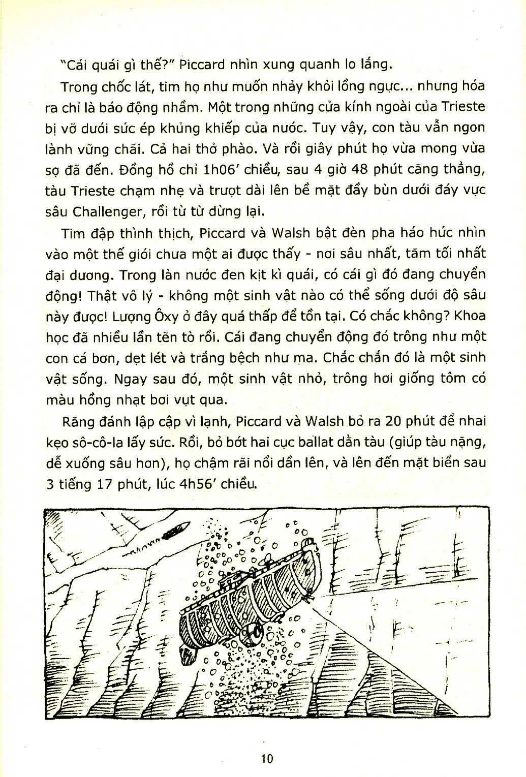 đại dương khó thương (tái bản 2020)