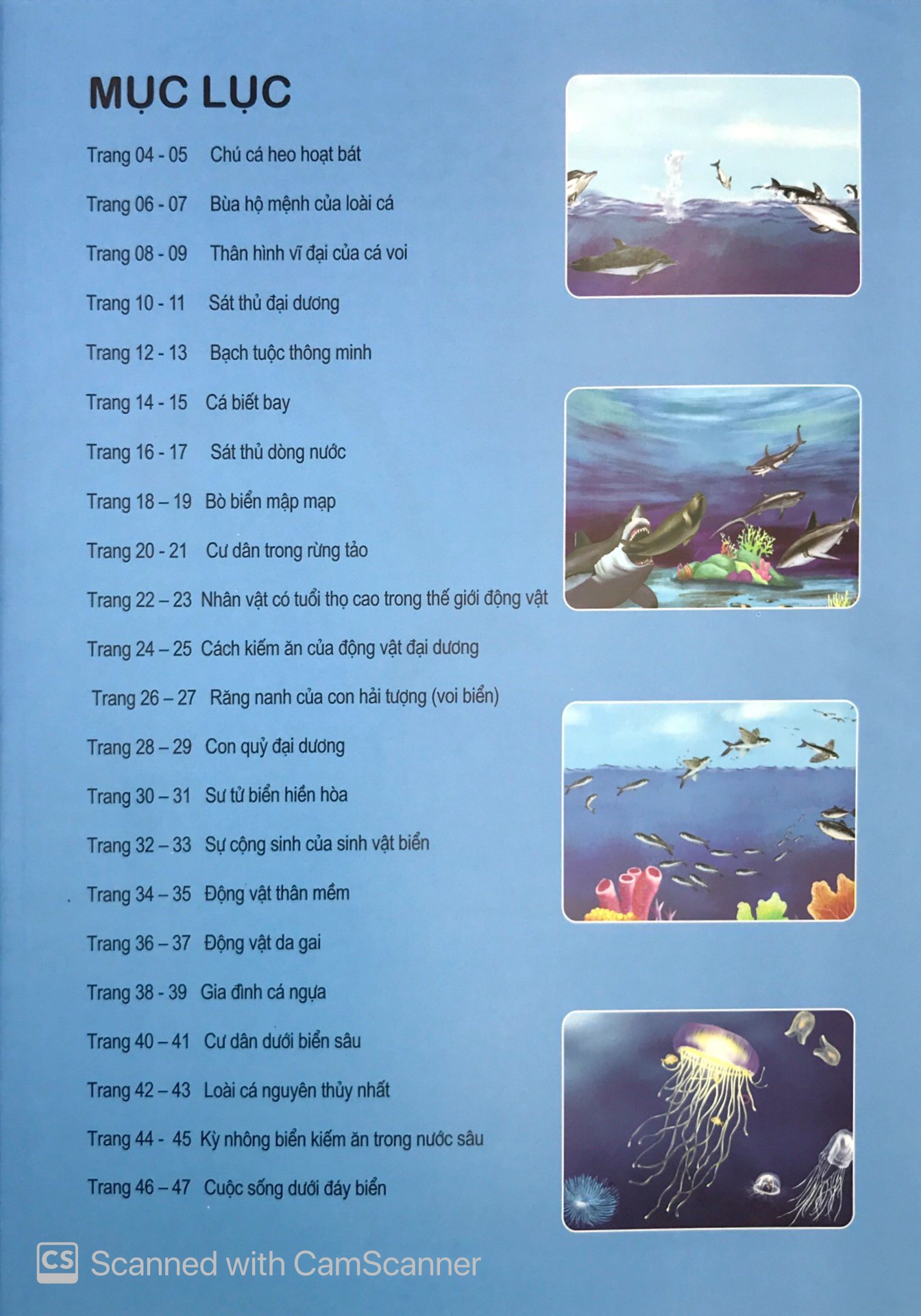 đại dương kỳ bí - thế giới động vật kỳ thú