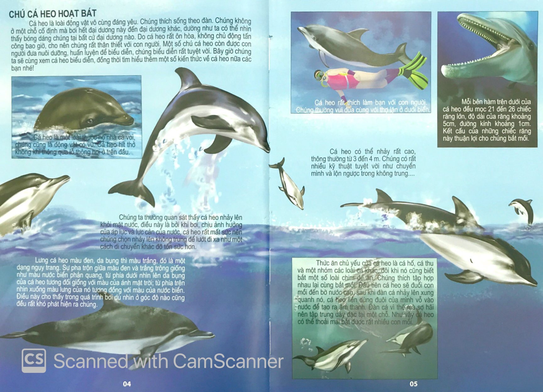 đại dương kỳ bí - thế giới động vật kỳ thú