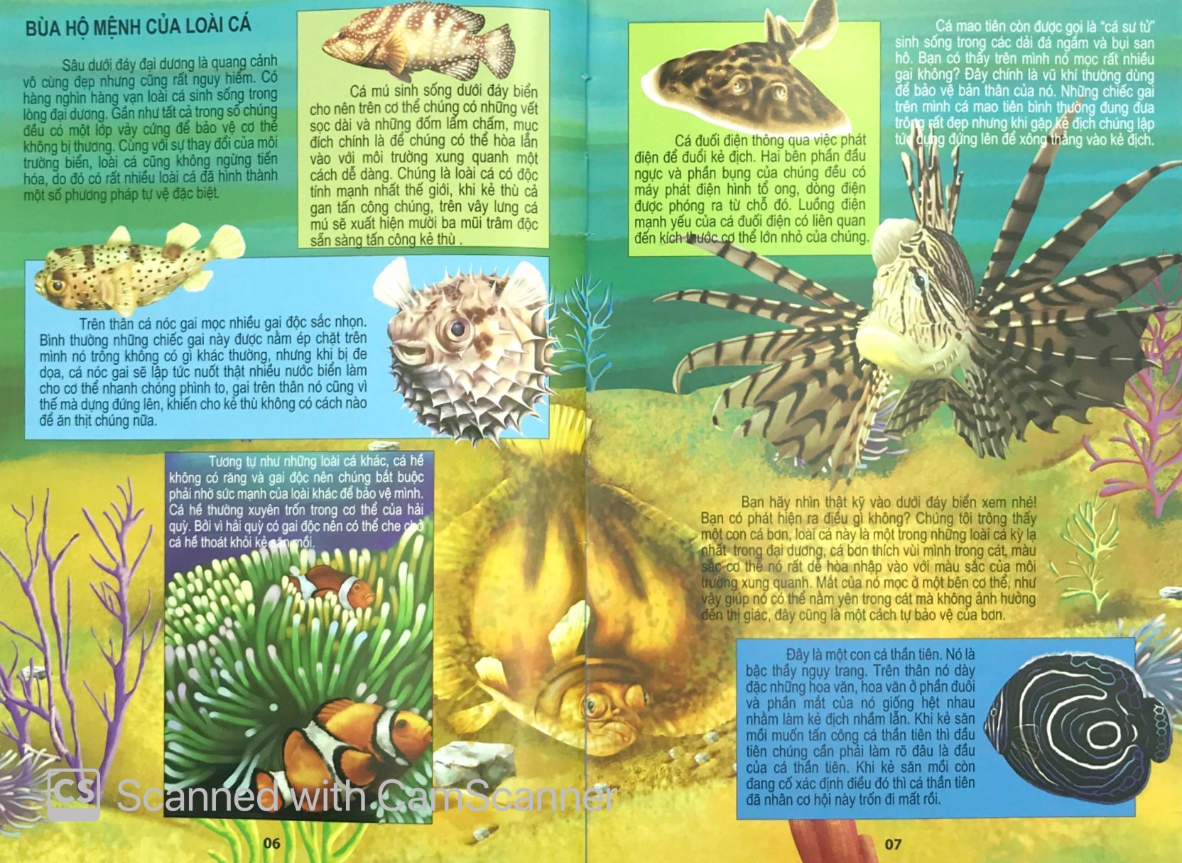 đại dương kỳ bí - thế giới động vật kỳ thú