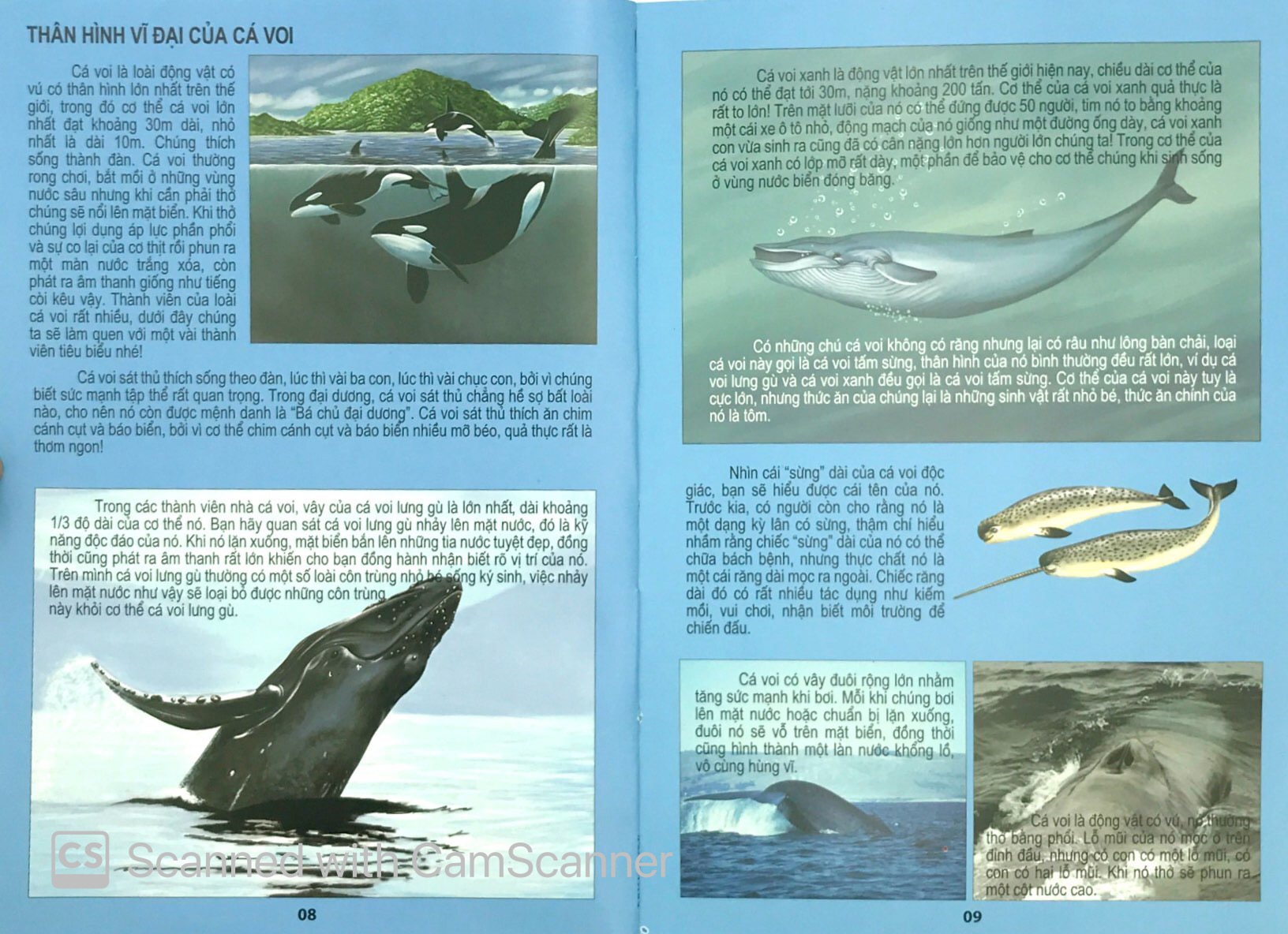 đại dương kỳ bí - thế giới động vật kỳ thú