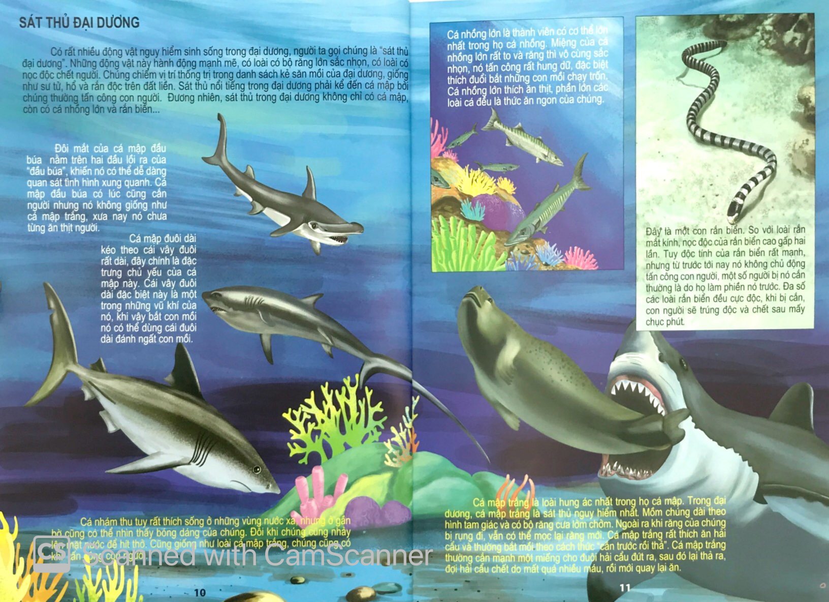 đại dương kỳ bí - thế giới động vật kỳ thú