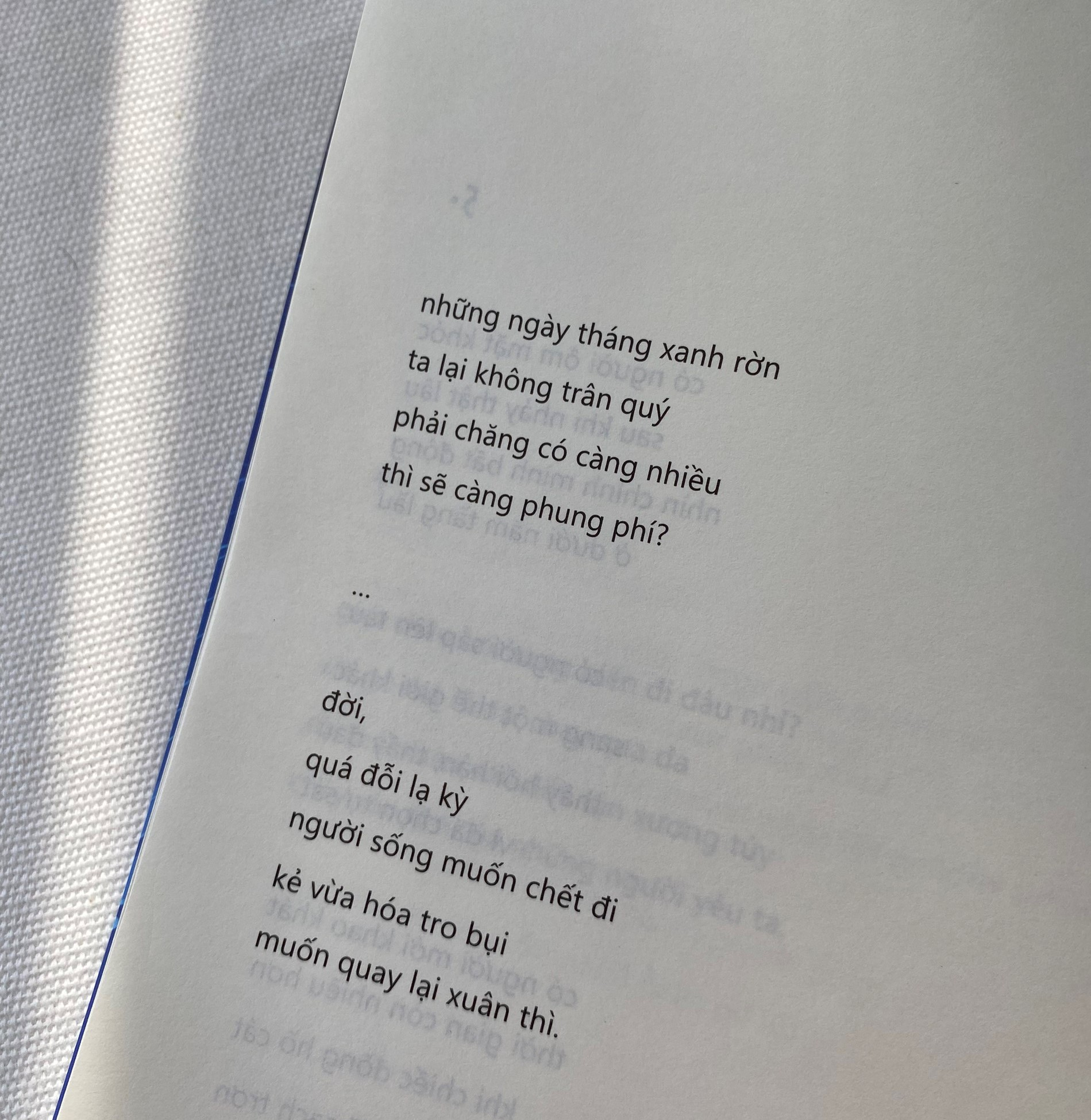 đám trẻ ở đại dương đen