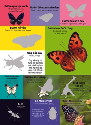 dán hình nhận biết động vật - chim và côn trùng (song ngữ việt-anh)