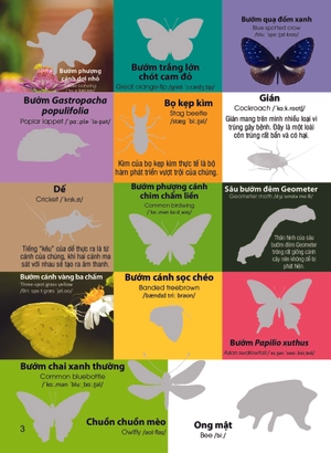 dán hình nhận biết động vật - chim và côn trùng (song ngữ việt-anh)