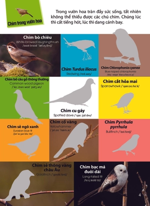 dán hình nhận biết động vật - chim và côn trùng (song ngữ việt-anh)