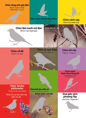 dán hình nhận biết động vật - chim và côn trùng (song ngữ việt-anh)