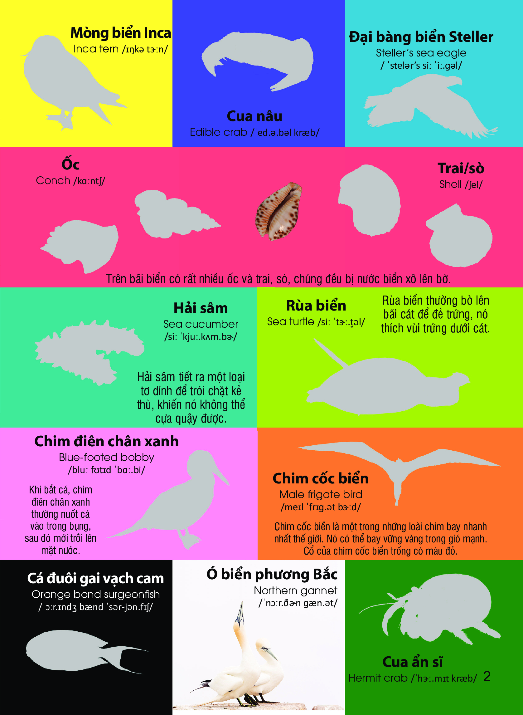 dán hình nhận biết động vật - động vật biển (song ngữ việt-anh)