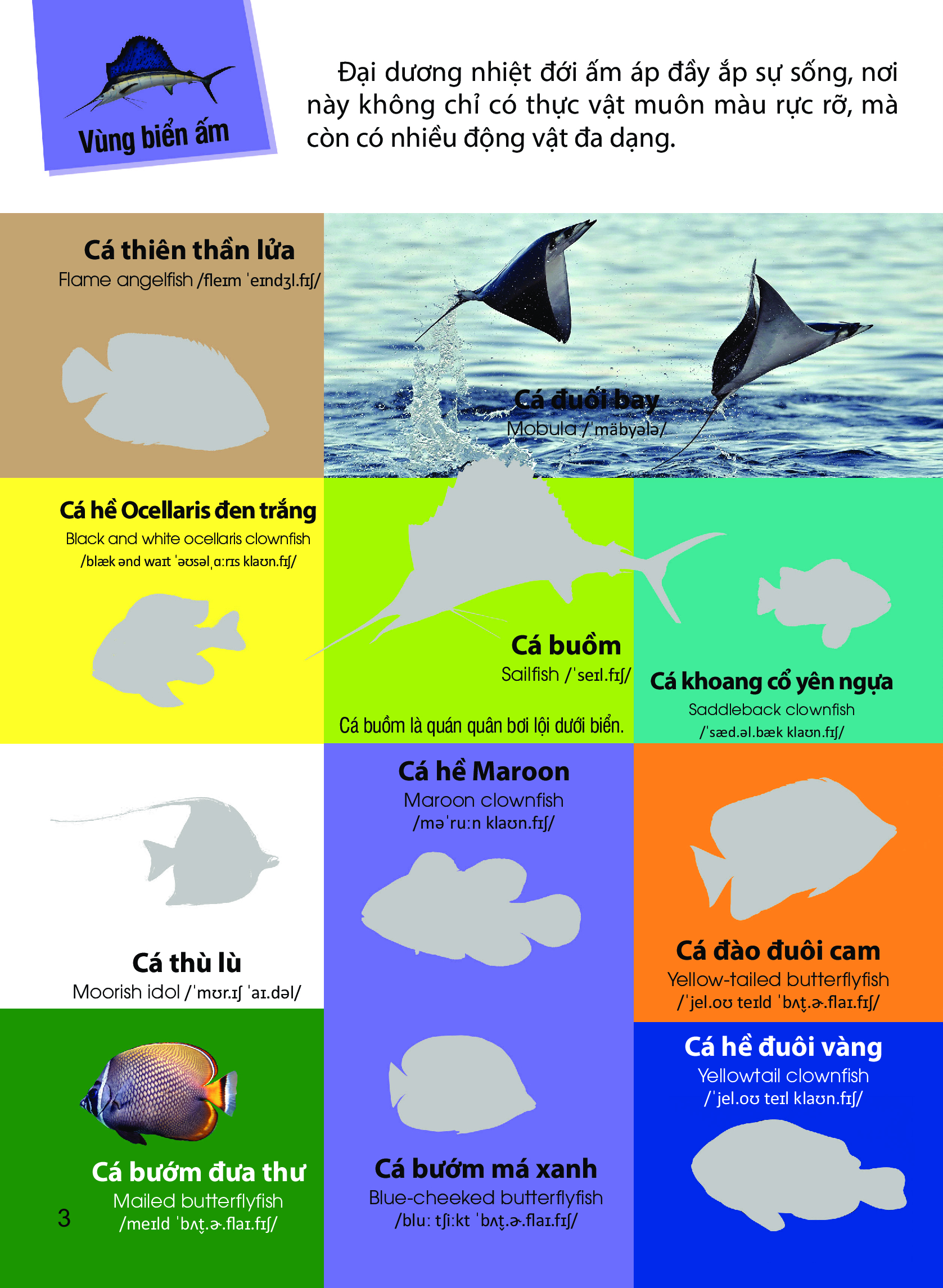 dán hình nhận biết động vật - động vật biển (song ngữ việt-anh)