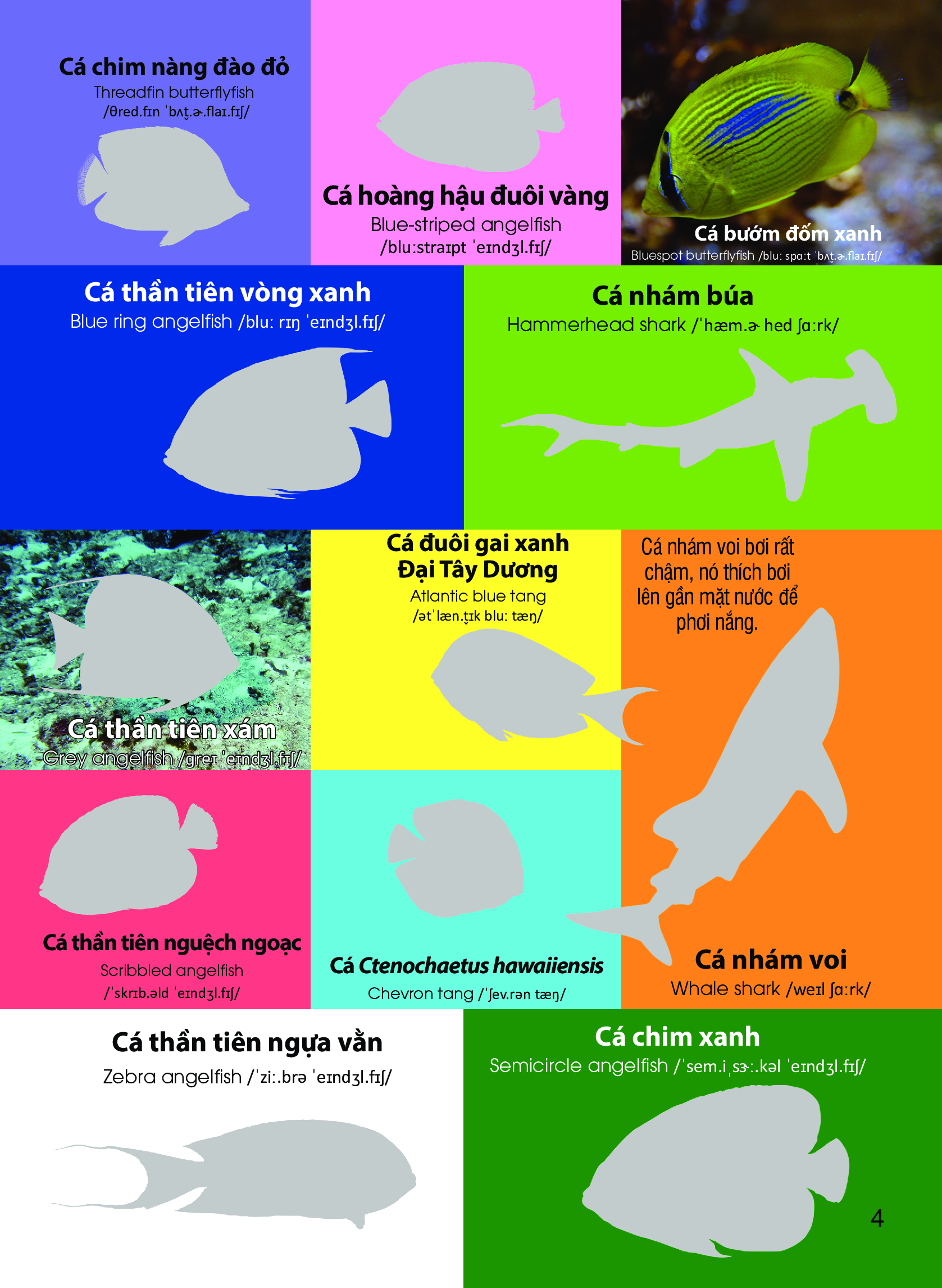 dán hình nhận biết động vật - động vật biển (song ngữ việt-anh)