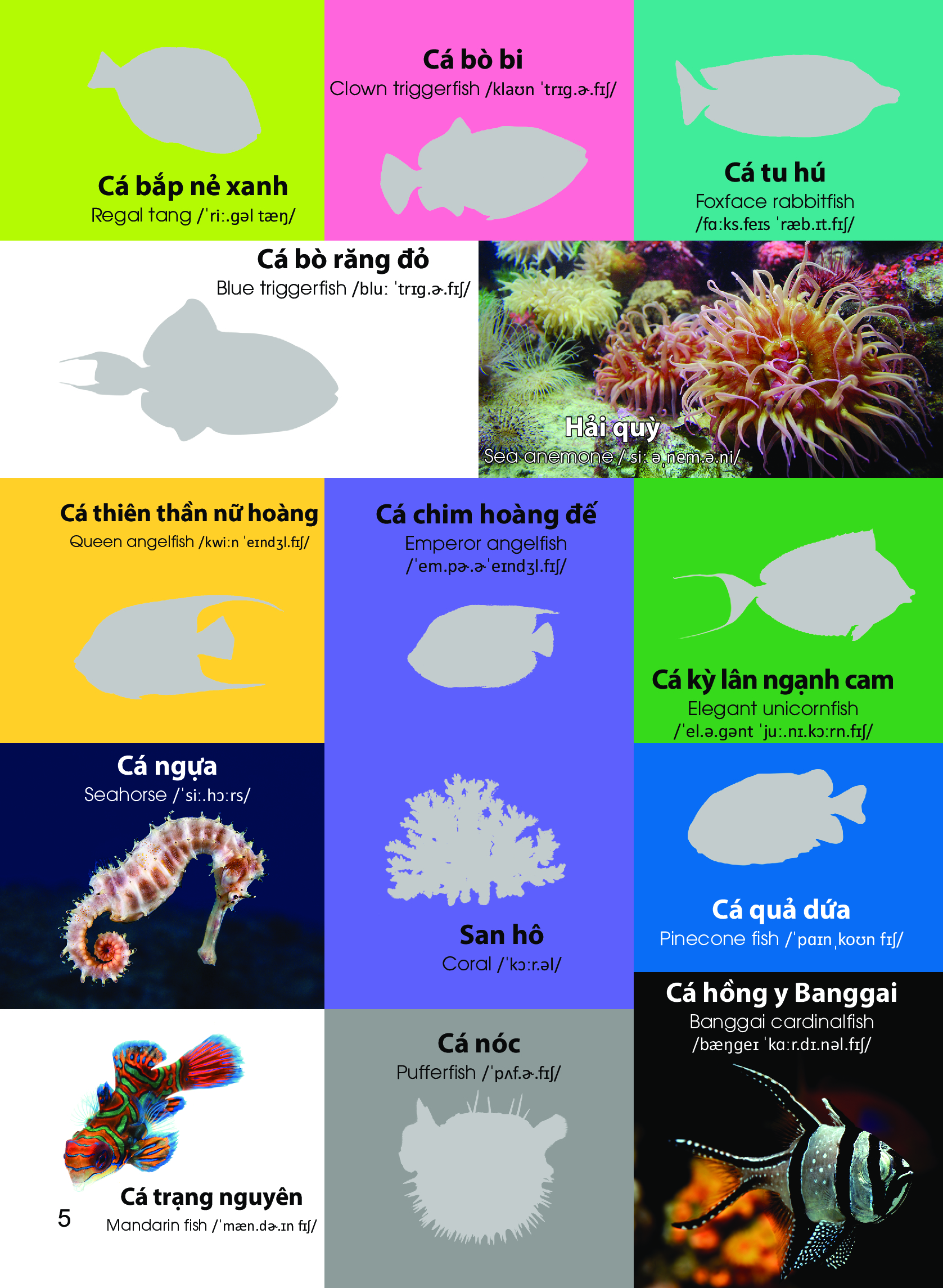 dán hình nhận biết động vật - động vật biển (song ngữ việt-anh)