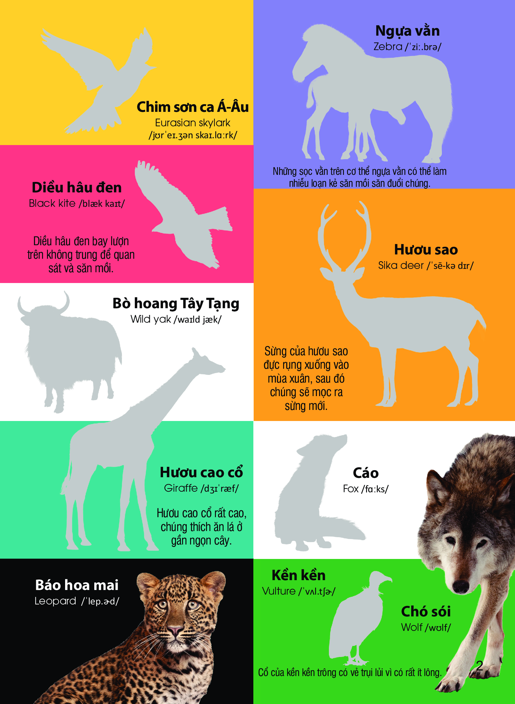 dán hình nhận biết động vật - động vật hoang dã (song ngữ việt-anh)