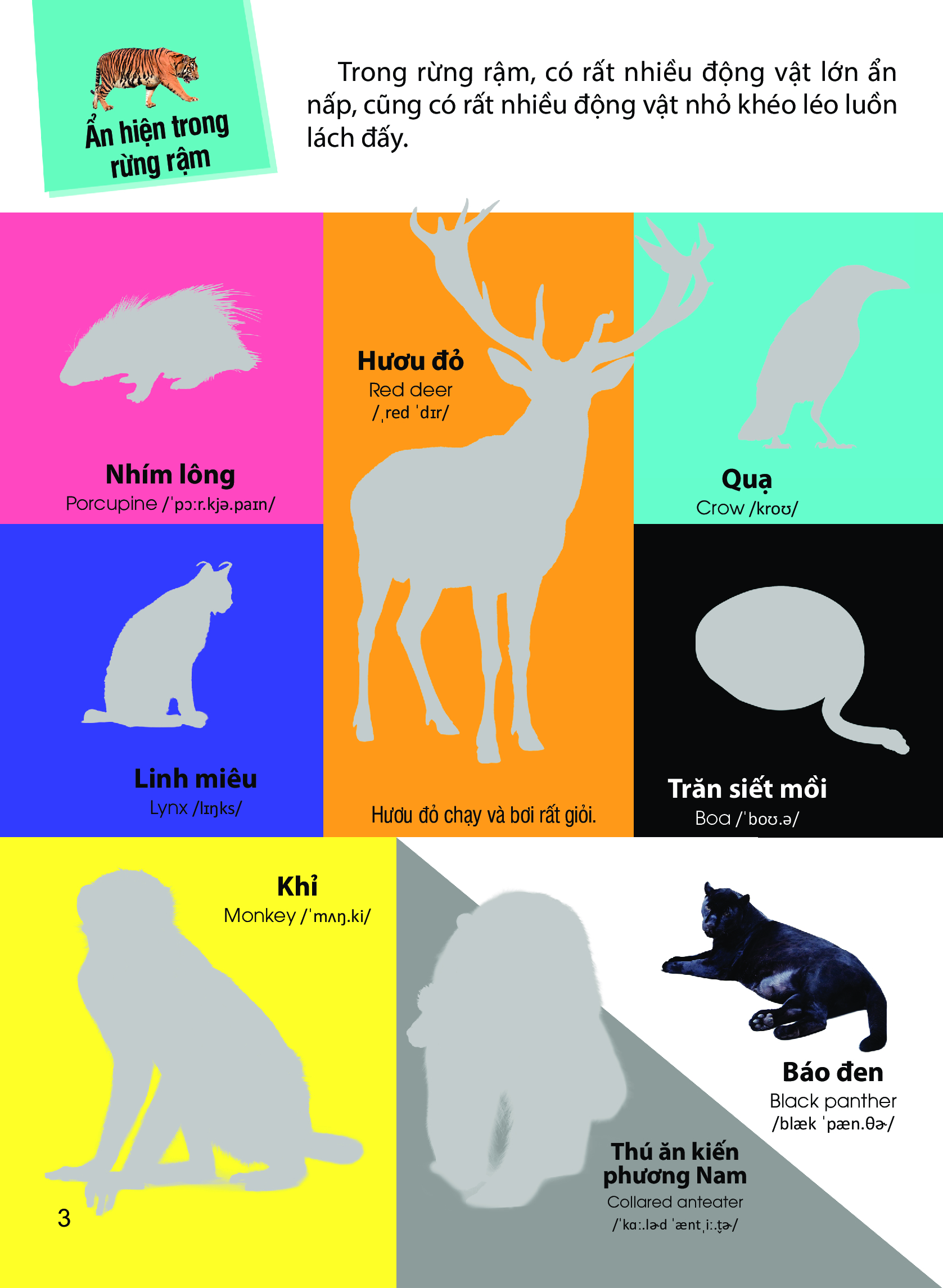 dán hình nhận biết động vật - động vật hoang dã (song ngữ việt-anh)