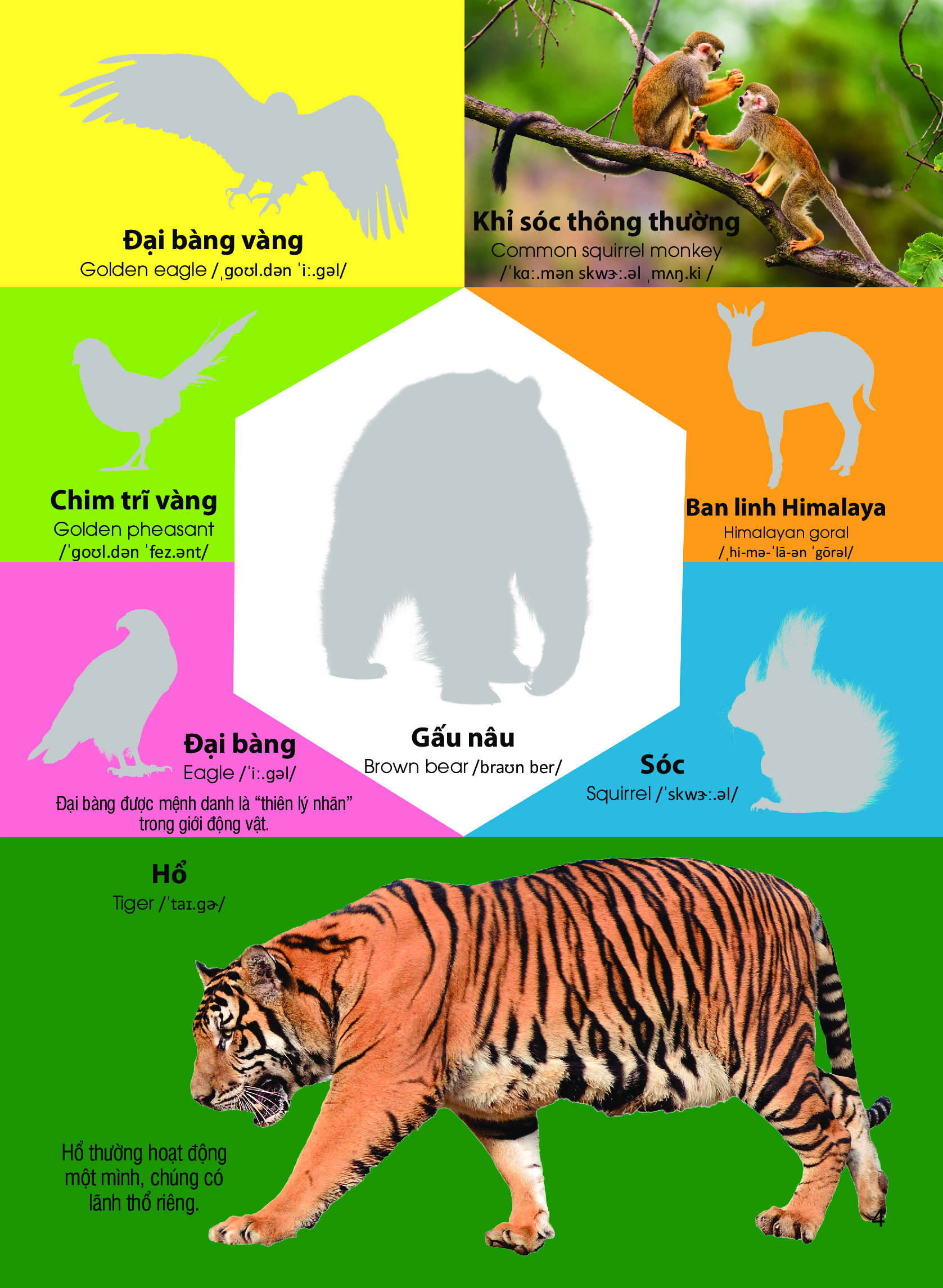 dán hình nhận biết động vật - động vật hoang dã (song ngữ việt-anh)