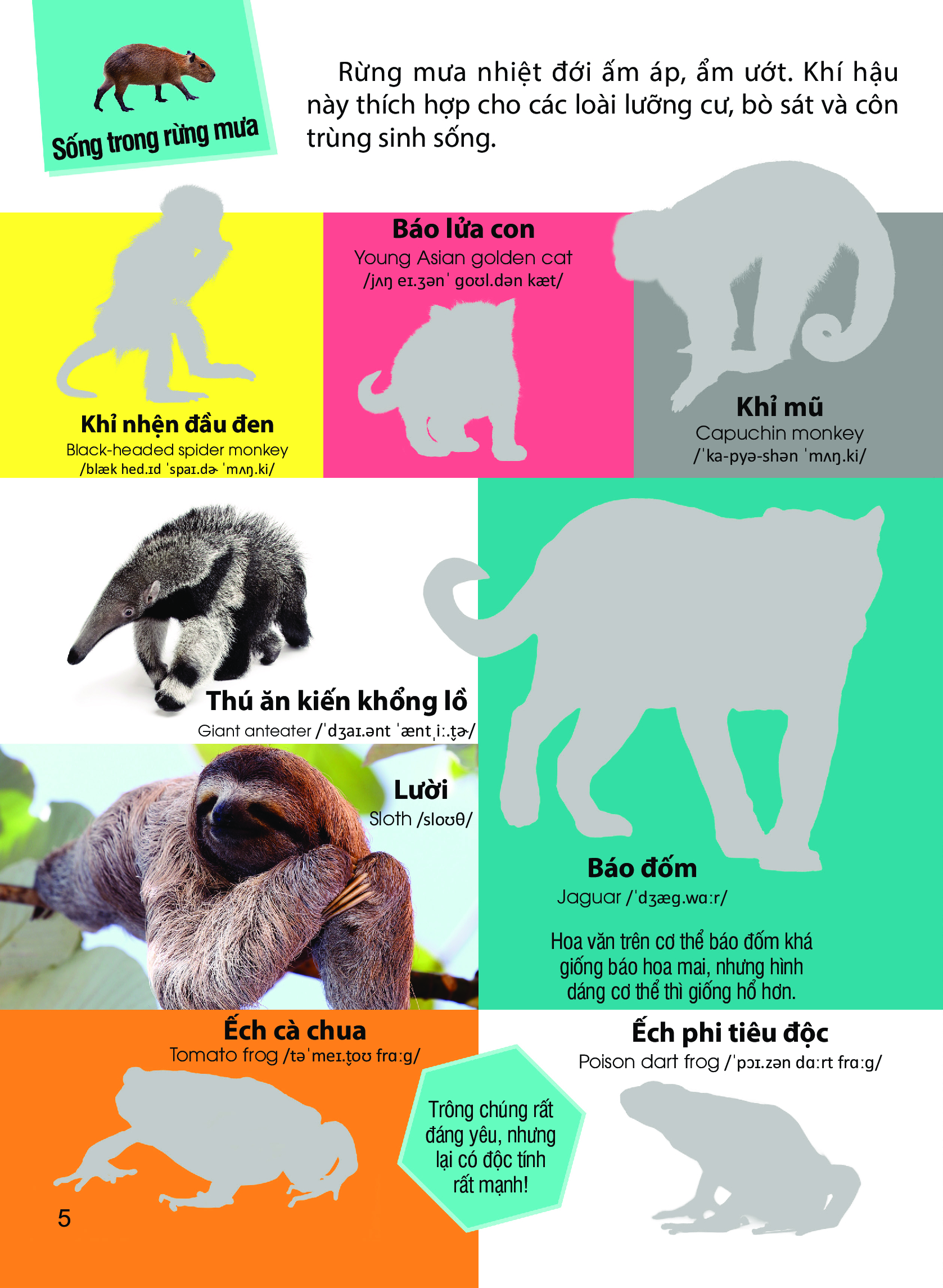 dán hình nhận biết động vật - động vật hoang dã (song ngữ việt-anh)