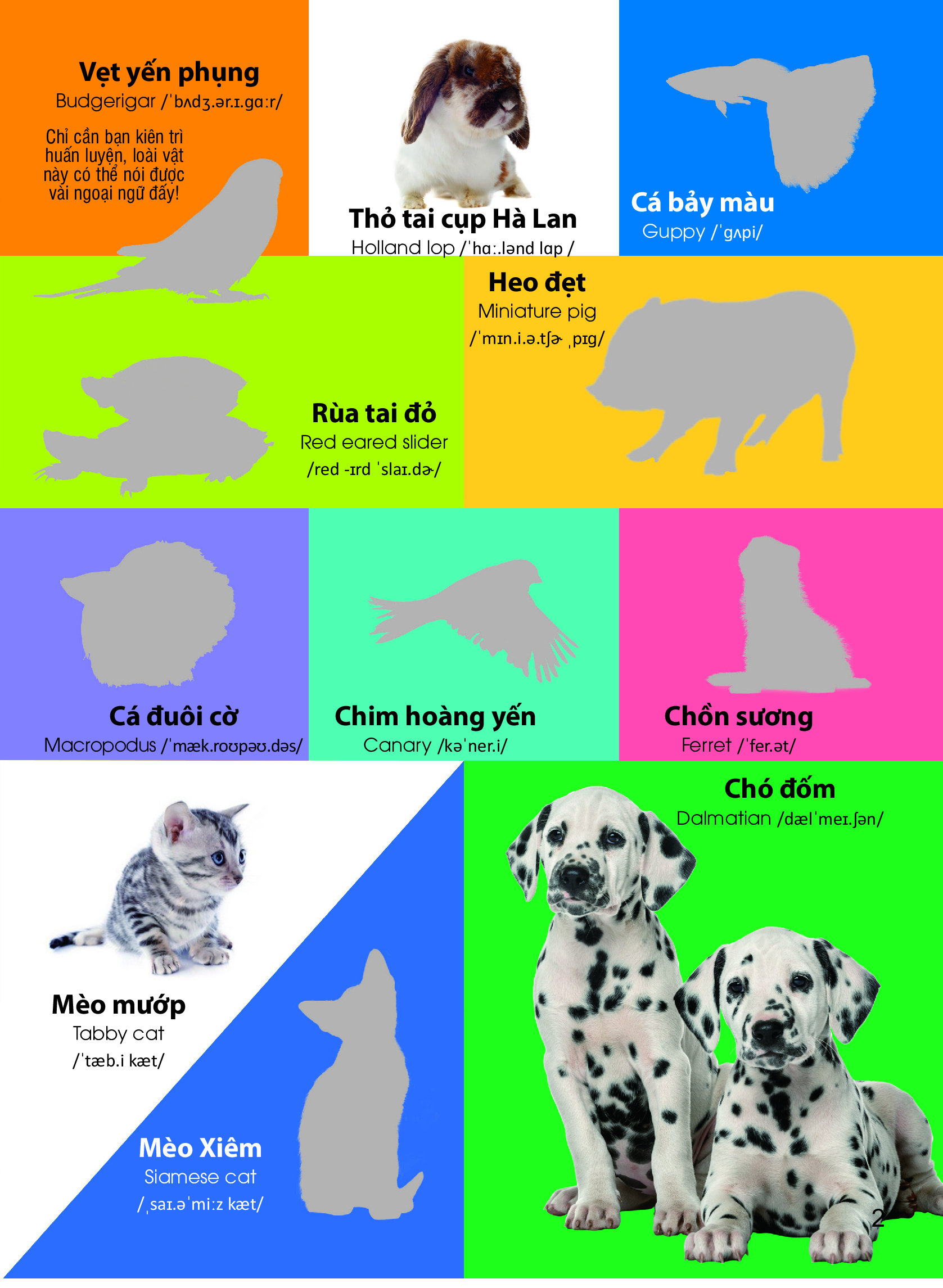 dán hình nhận biết động vật - những loài vật dễ thương (song ngữ việt-anh)