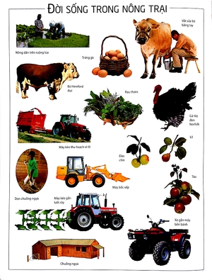 dán hình thông thái - nông trại