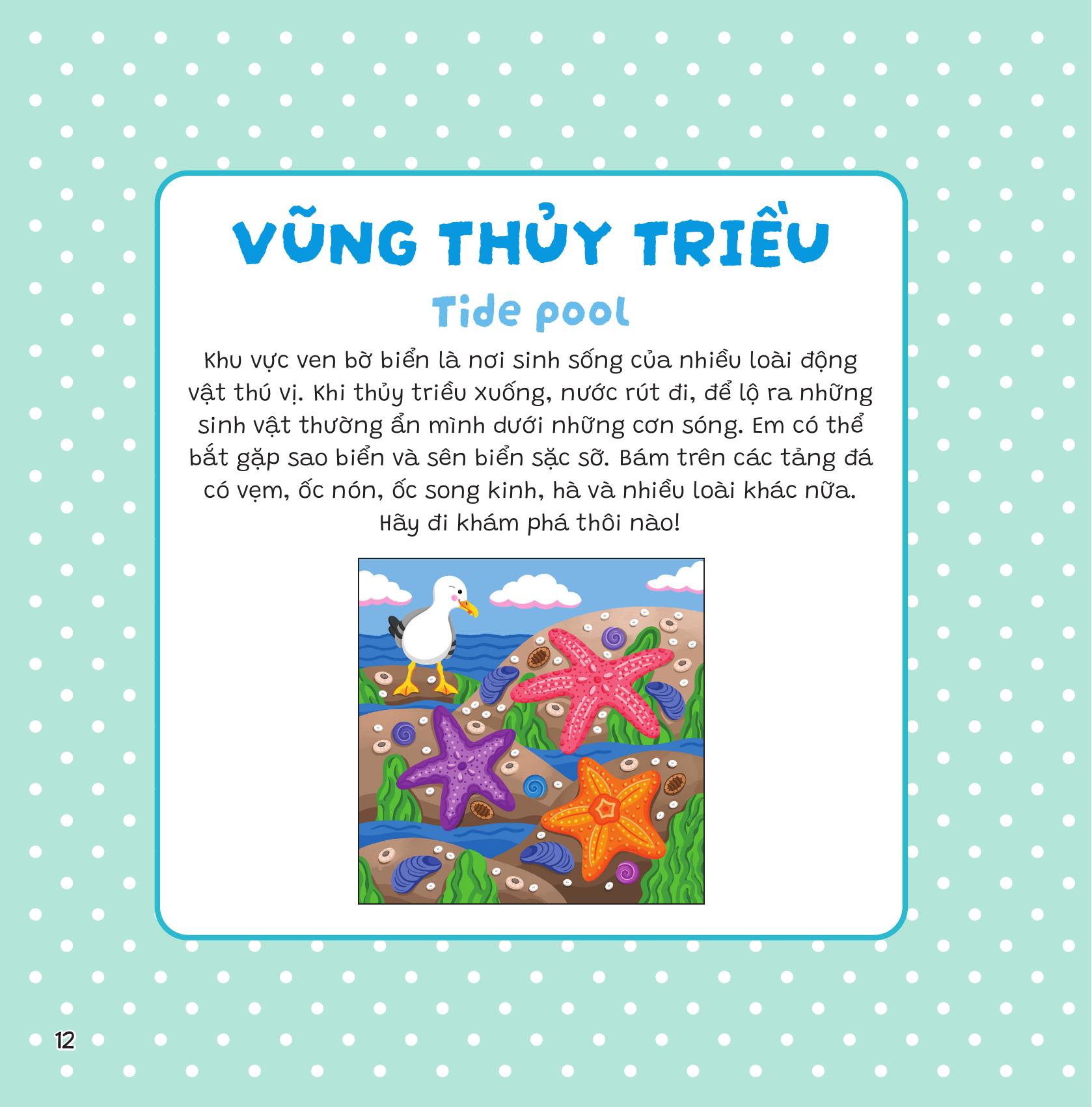 Dán Khéo Tay, Hiện Hình Ngay! - Đại Dương
