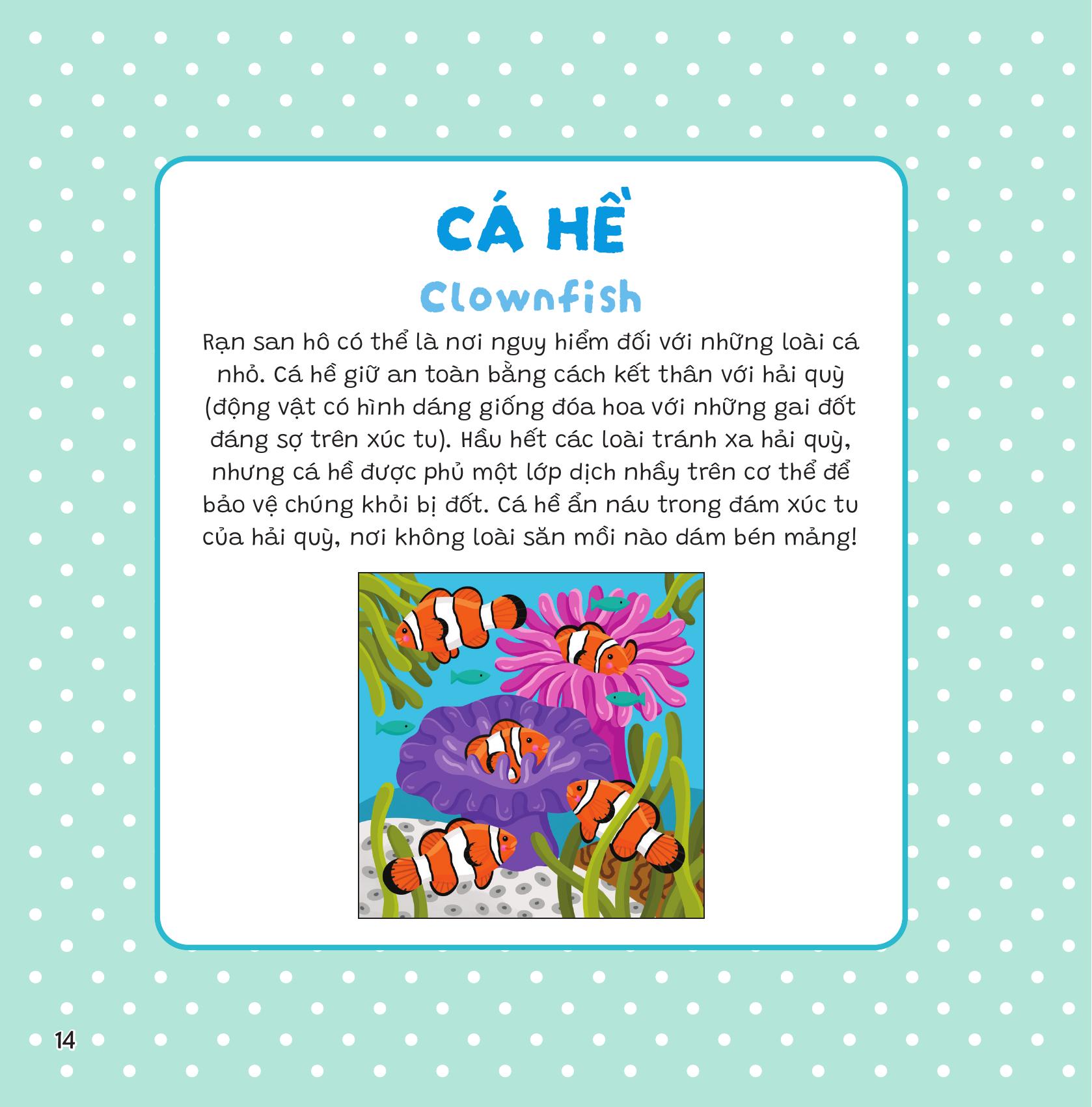 Dán Khéo Tay, Hiện Hình Ngay! - Đại Dương
